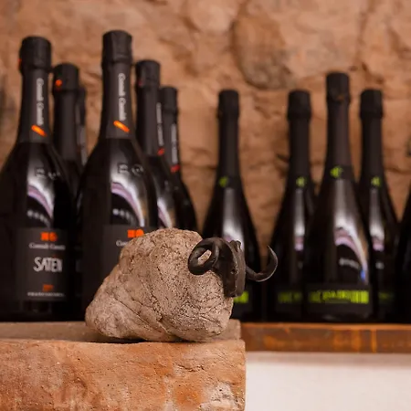 Executive Bed & Breakfast 3*